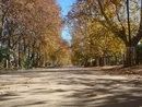 Fotolog de totoralblog: BOULEVARD ALLENDE  EN OTO�O